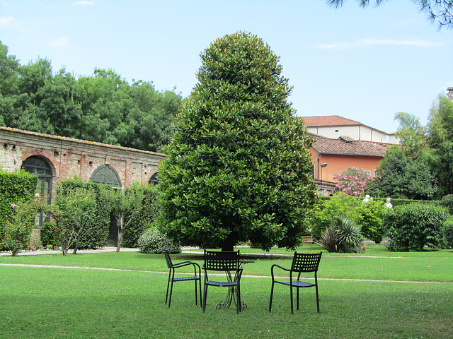 Lucca