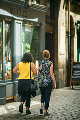les azalées