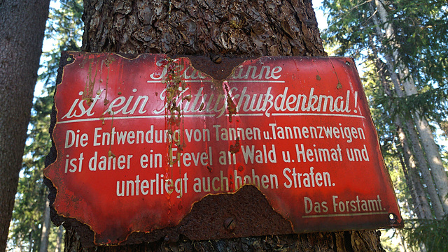 Schild an einer Fichte