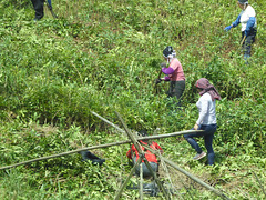 Fieldwork in China