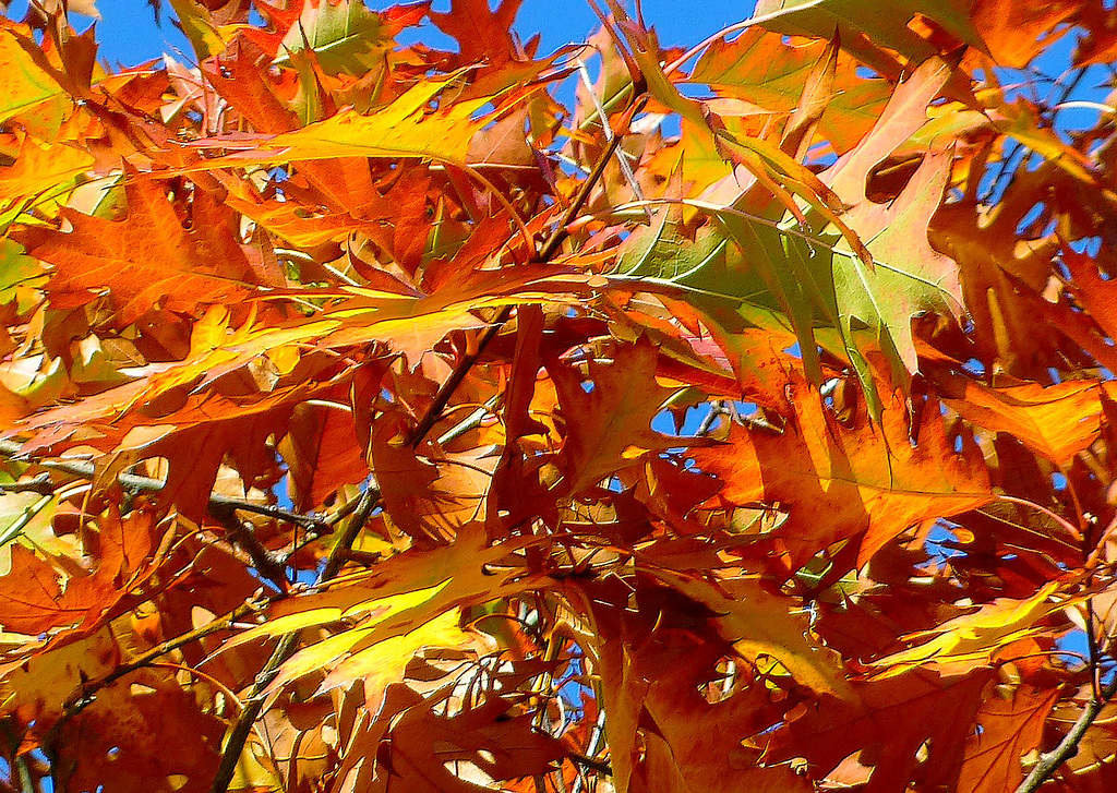 Le réveil des couleurs !