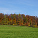 Herbstfarben am "Nüll"