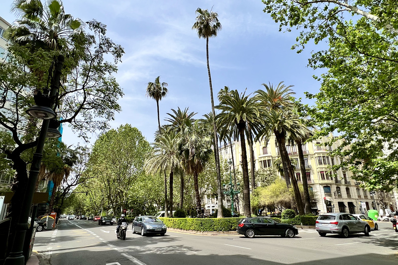 Valencia 2022 – Palm trees