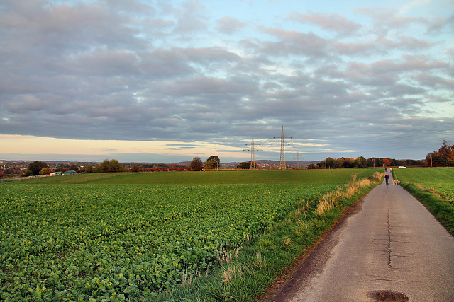 Am Kleff (Hagen-Garenfeld) / 22.10.2022