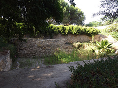 The Tophet in Carthage, June 2014