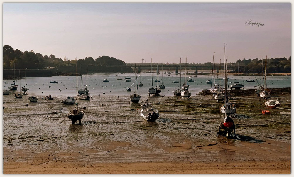 A marée basse .........