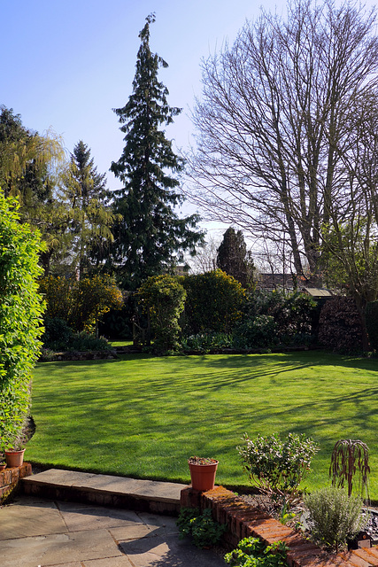 Fulbourn garden 2015-04-18 (2)