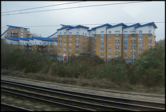 Kings Meadow carbuncles