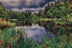 Naturweiher ++ Natural pond Dietramszell