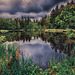 Naturweiher ++ Natural pond Dietramszell