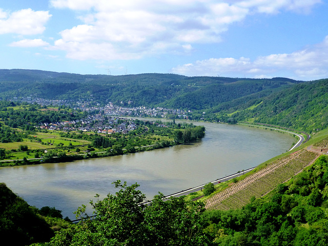 DE - Boppard - Blick auf den Rhein