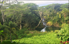 View of the Valley