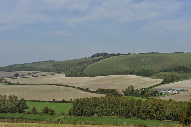 The delights of Wiltshire