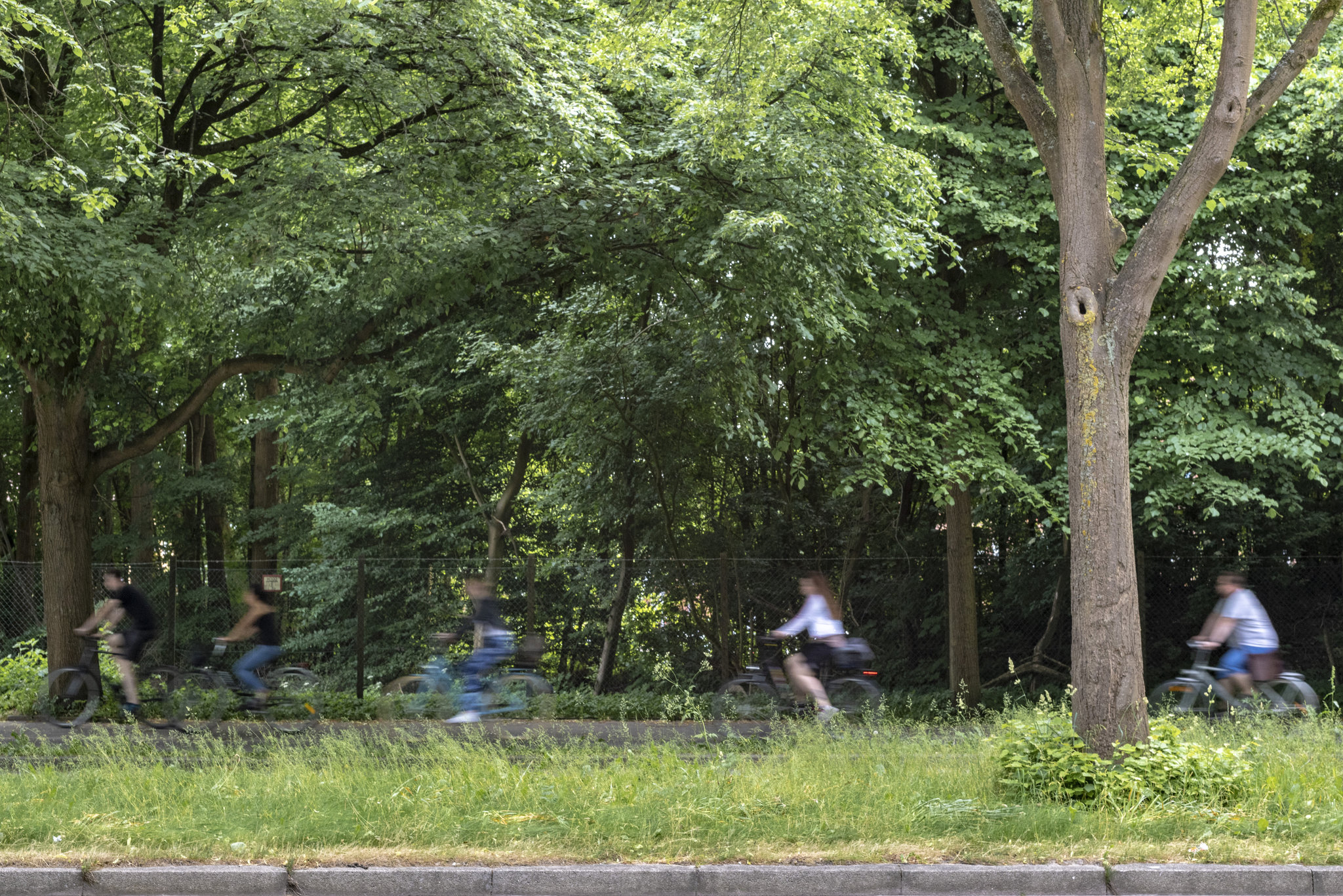 World Bicycle Day (03.06.2018)