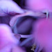 DSCF0656
