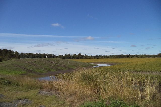 Paysage ontarien / North Ontario landscape