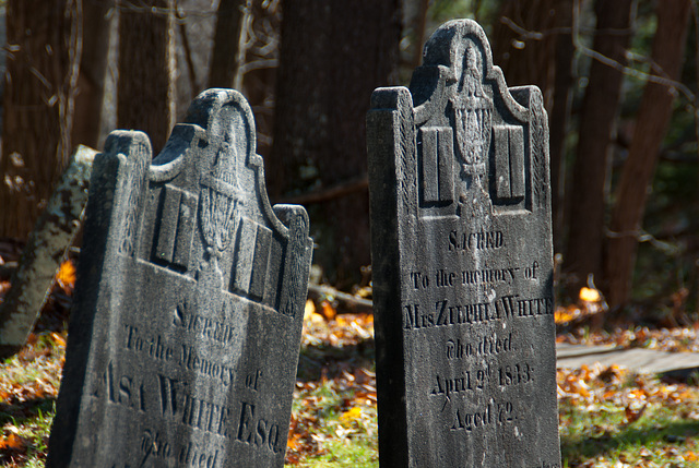 BiW-4 Buried in Williamsburg - the Changing Fashion of Remembrance