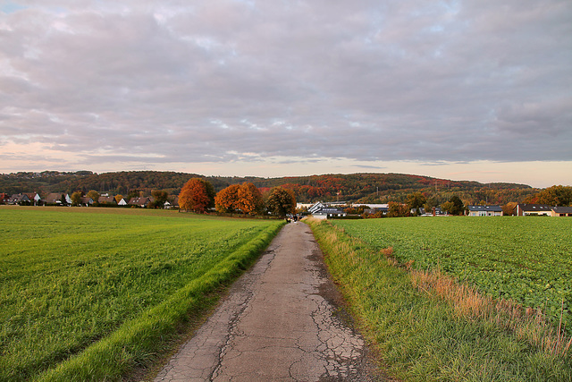 Brauckweg (Hagen-Garenfeld) / 22.10.2022
