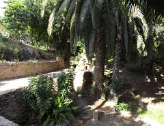 The Tophet in Carthage, June 2014