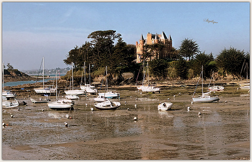 A marée basse .........Chateau du Nessay❤️