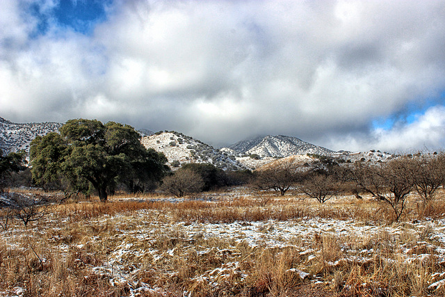 The Storm Lifts