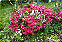 jardin 9 avril