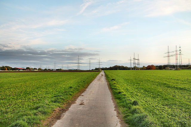 Brauckweg (Hagen-Garenfeld) / 22.10.2022