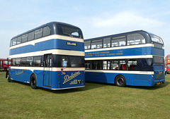 Delaine 177 (AD74 DBL) and 50 (RCT 3) at the BUSES Festival, Sywell - 1 Sep 2024 (P1190502)