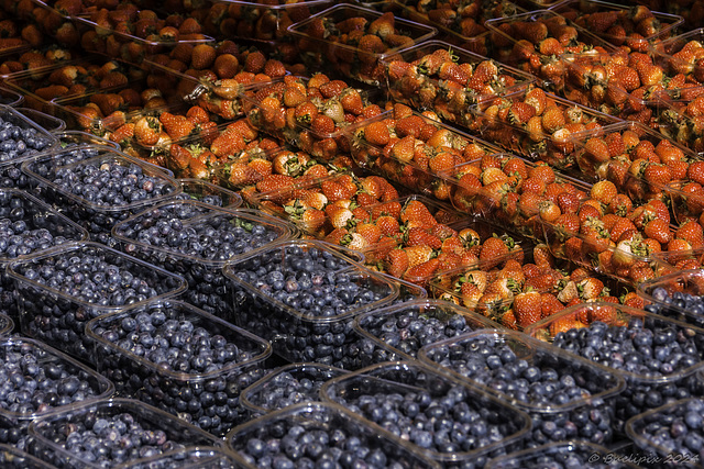 St. Jacobs Farmers' Market ... P.i.P. (© Buelipix)