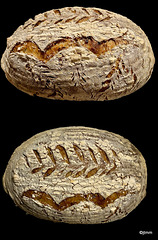 Cotswold Crunch Sourdough