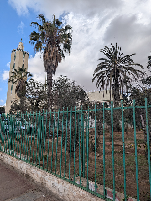 Clôture de culte et cocotiers de mosquée