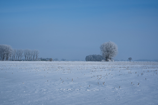 Mittlere Weite