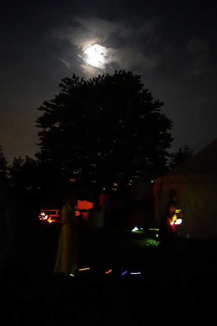 DSC01360