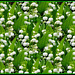 De petits brins de muguet, pour du bonheur toute l'année !