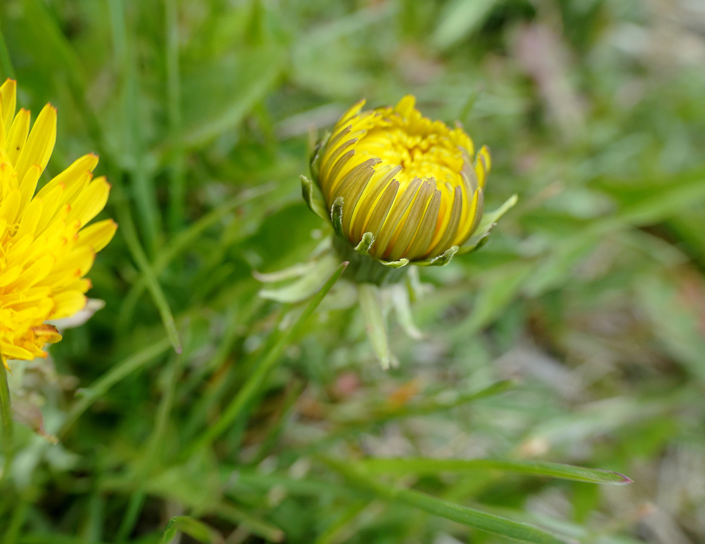 P1097726