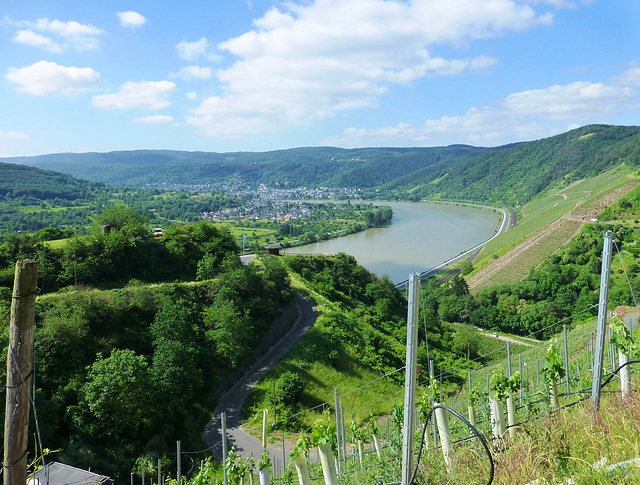 DE - Boppard - Blick auf den Rhein