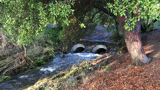 After the Drought, the Deluge