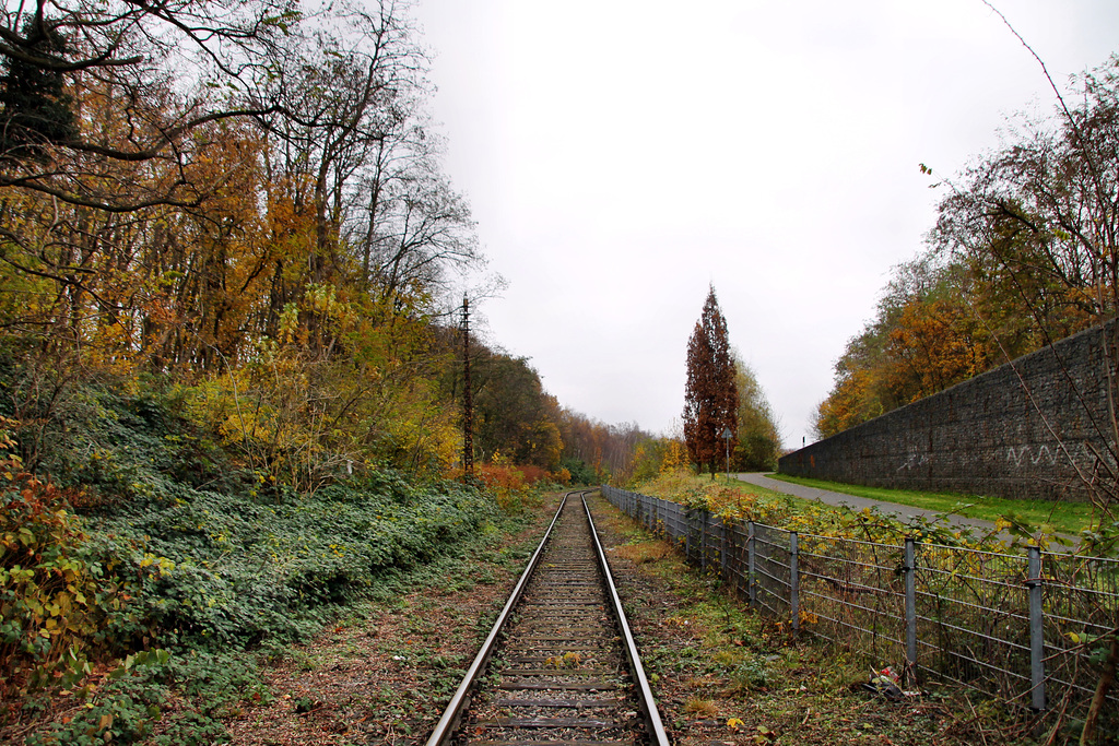 Werksbahngleis der Ruhrchemie (Oberhausen-Sterkrade) / 20.11.2021