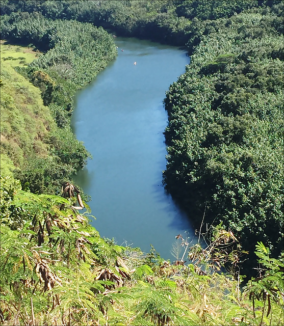 Wailua River State Park