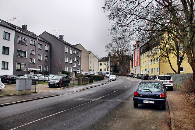 Langendreerstraße (Dortmund-Somborn) / 11.02.2023