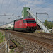 BÖ0033730