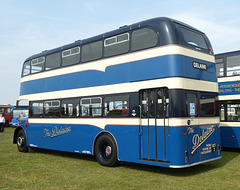 Delaine 50 (RCT 3) at the BUSES Festival, Sywell - 1 Sep 2024 (P1190501)