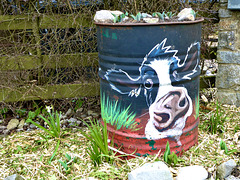 Mad cow. SC147 Funny