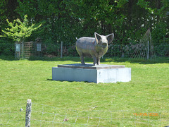 ben mon cochon! ben mon cochon!
