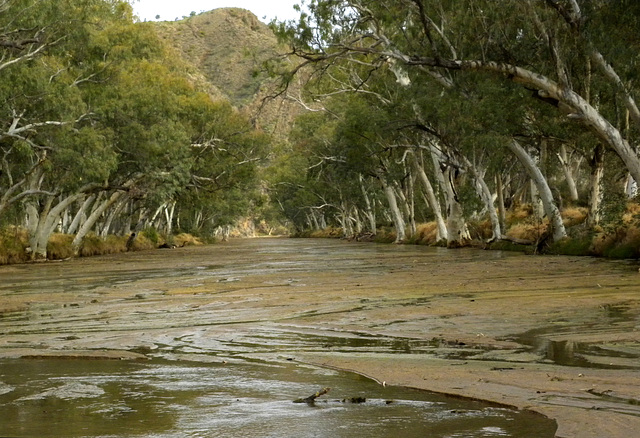 Central Australia