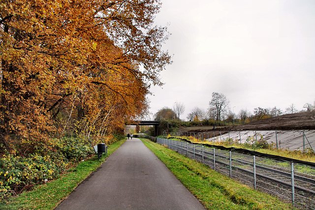 Radweg HOAG-Trasse (Oberhausen-Sterkrade) / 20.11.2021