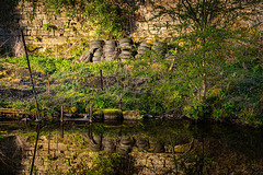Canal reflection landscape