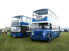 Delaine 177 (AD74 DBL) and 50 (RCT 3) at the BUSES Festival, Sywell - 1 Sep 2024 (P1190445)