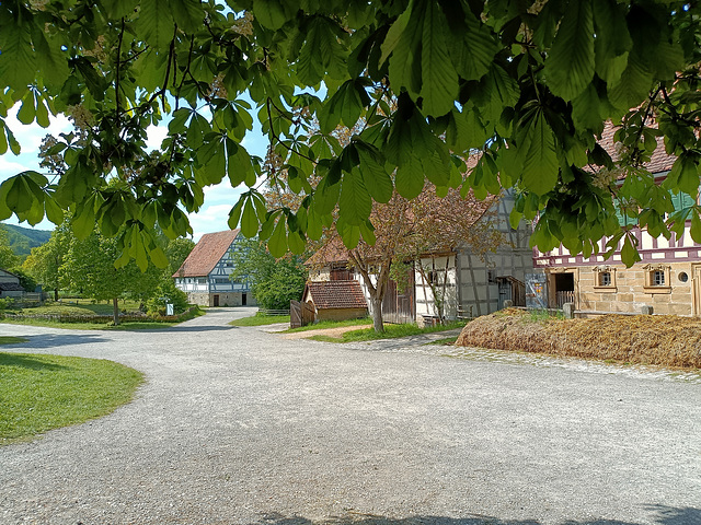 unter dem Kasranienbaum