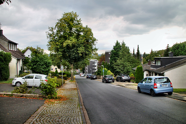 Zeppelinstraße (Herdecke) / 16.09.2024